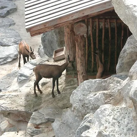 Appartement Haus Olympia