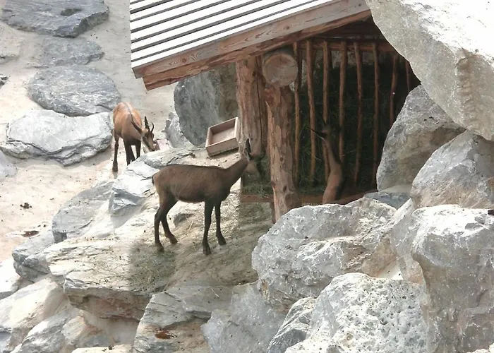 Appartement Haus Olympia